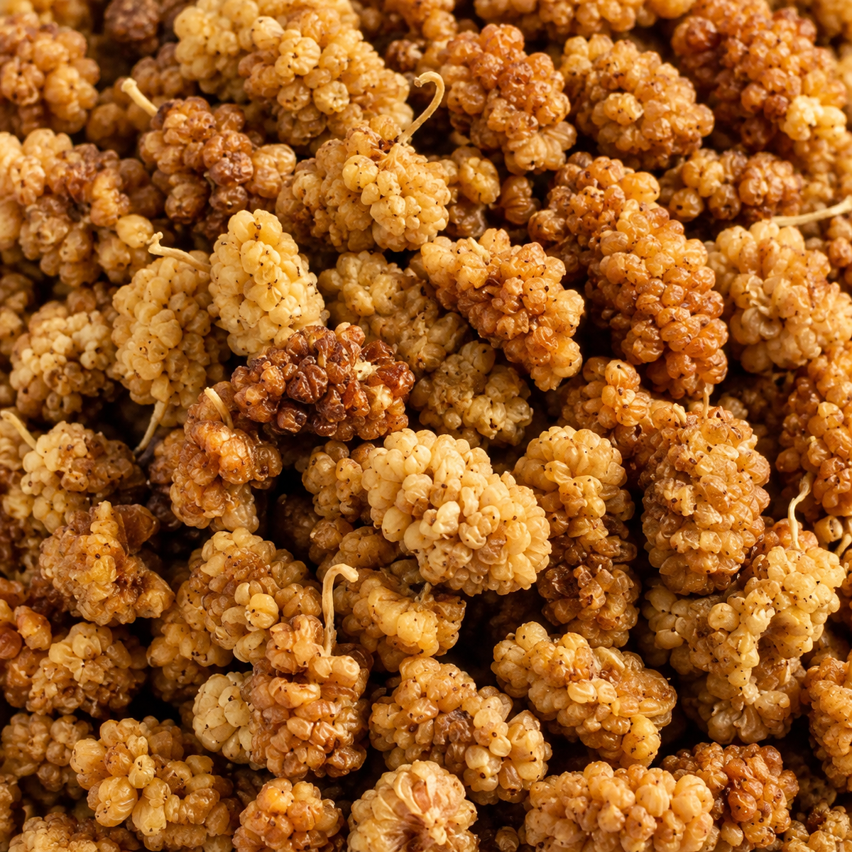 Dried Mulberries