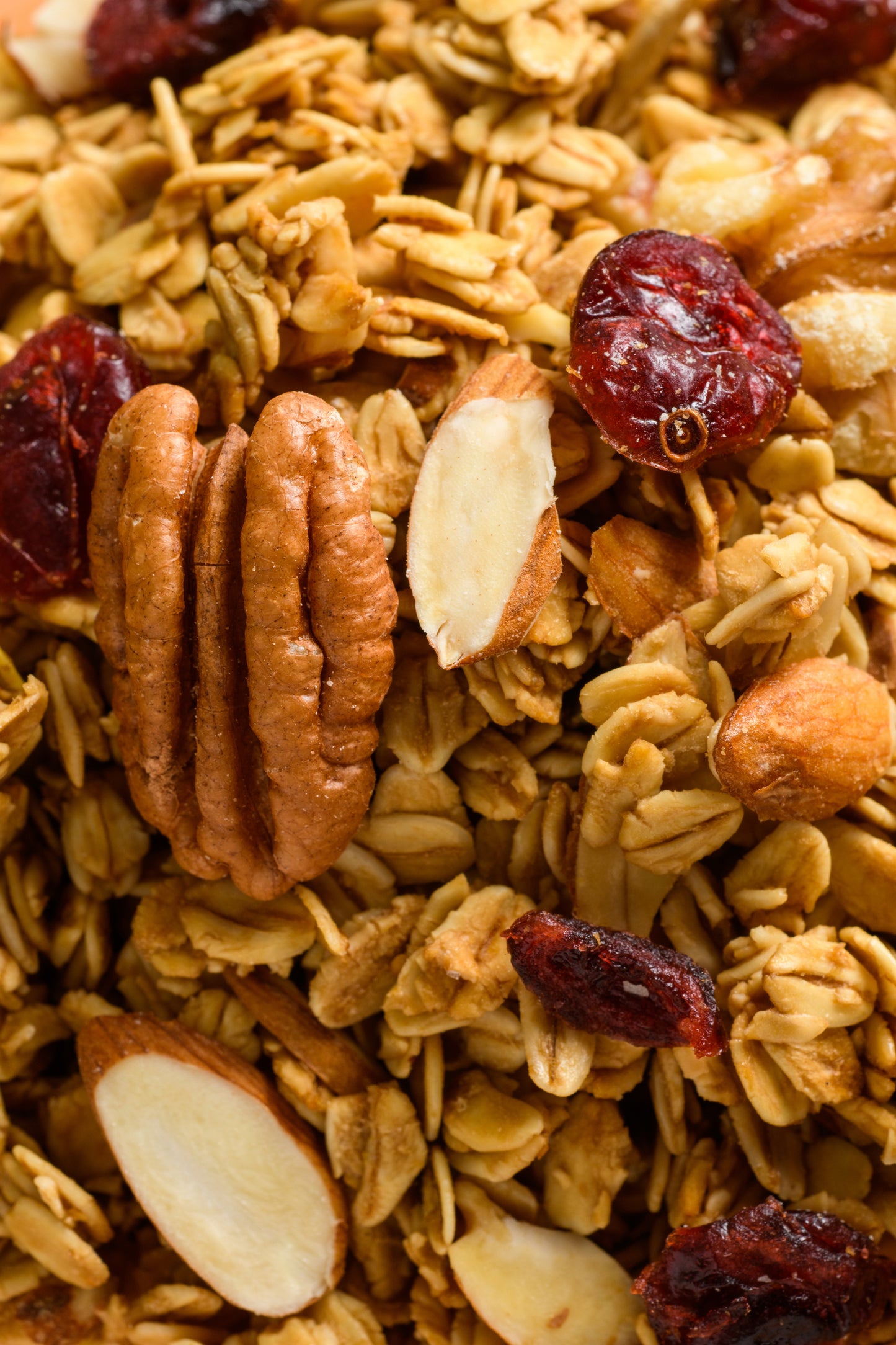 Original Nuts and Cranberries Granola (FUEL on-the-go)