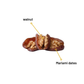Walnut Stuffed Dates Box (Individual Pack)