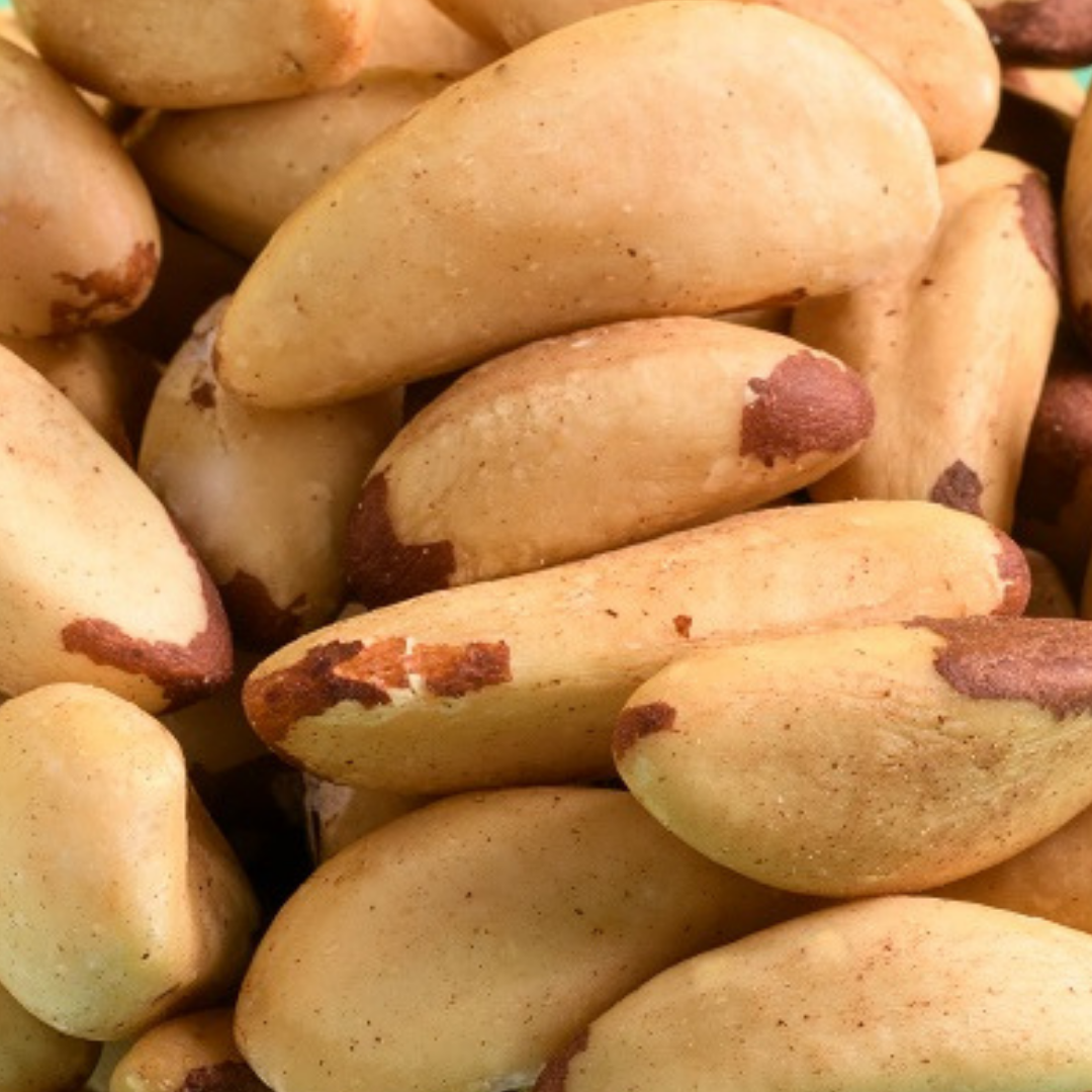 Kacang Brazil Organik Panggang Ringan (Tanpa Masin)